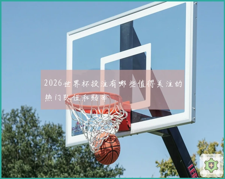 2026世界杯投注有哪些值得关注的热门队伍和赔率