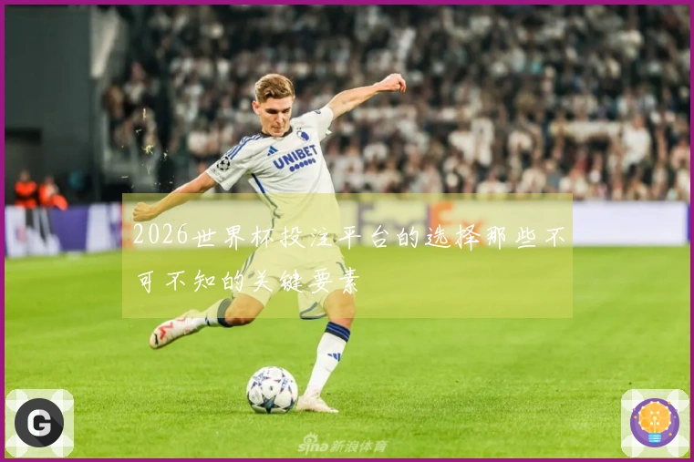 2026世界杯投注平台的选择那些不可不知的关键要素