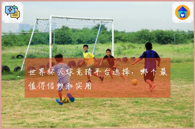 世界杯买球竞猜平台选择，哪个最值得信赖和实用